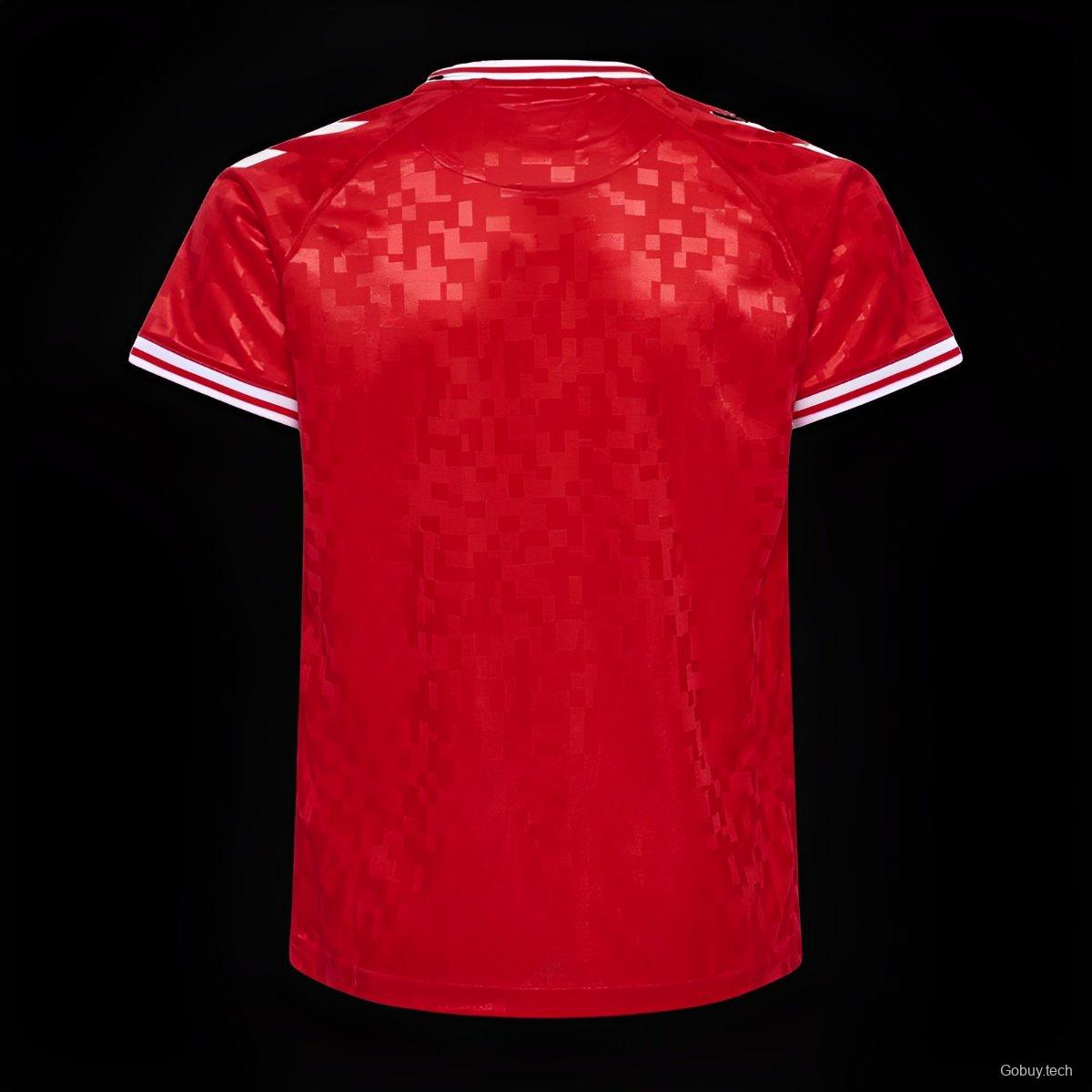 2024 Denmark Home Jersey